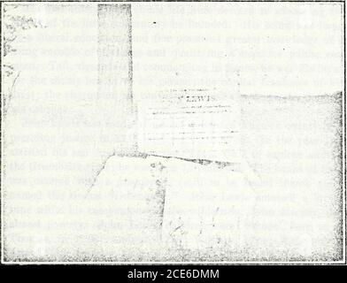 . West Virginia historische Zeitschrift vierteljährlich . Blut. Ein Tagebuch, das von Margaret Lynn Lewis geschrieben und 1869 in der Zeitschrift Land We Love von FannyFielding aus Xorfoik, Virginia, veröffentlicht worden sein soll, hat großes Interesse unter den Lewis-Nachkommen geweckt, aber für Historiker ist es im Allgemeinen nichts weiter als ein geschickt geschriebenes Stück Fiktion. Das Tagebuch stimmt nicht mit historischen Daten überein. Wenn sie von ihrem amerikanischen Jungen spricht, sagt sie: Es gibt ein Grab von Great Kanawhas Seite, das erzählt, wo Charles Lewis, mein blauäugiger amerikanischer Junge, tapfer kämpfend, geehrt und geliebt, in der gefallen ist Stockfoto