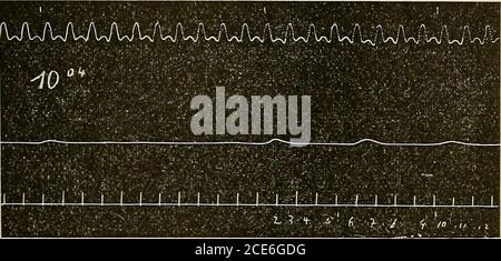 . Pflügers Archiv für die gesamte Physiologie des Menschen und der Tiere . Abb. 28. Abb. 29. Stockfoto