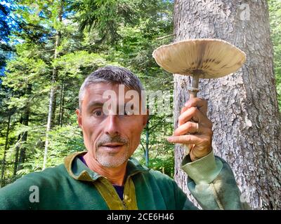 Mann scherzte vor, Pilz als Regenschirm im Wald zu verwenden. Stockfoto