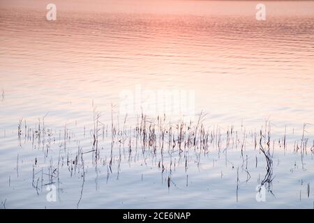 Schöner Herbstaufgang oder Sonnenuntergang mit Reflexion auf See Wasserstand. Sanfte Wellen. Stockfoto