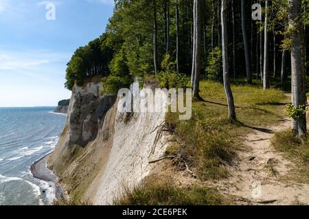 Ein Blick auf die schönen Kalk- und Kalksteinklippen in Nationalpark Jasmund auf Rügen in Deutschland Stockfoto