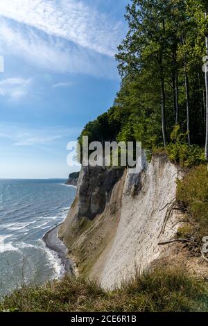 Ein Blick auf die schönen Kalk- und Kalksteinklippen in Nationalpark Jasmund auf Rügen in Deutschland Stockfoto