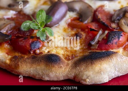 Frische Pizza auf rotem Hintergrund Stockfoto