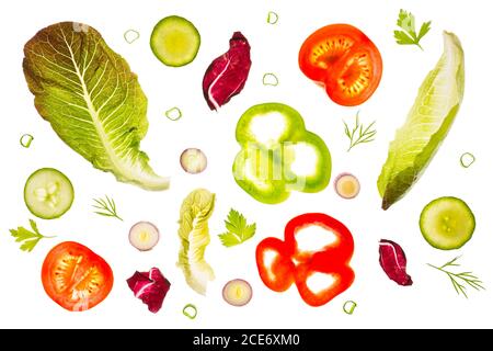 Romaine Salatblätter, Radicchio, Scheiben von grünen und roten Paprika, Tomaten und rote Skalpendellen, Gurkenscheiben, Dill und Petersilie auf einem Lig hinterleuchtet Stockfoto