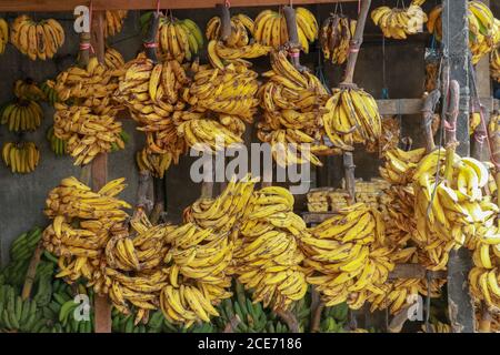 Gelbe und grüne Bananen hängen an einem Holzrahmen Eine Straßenmatratzen Stockfoto