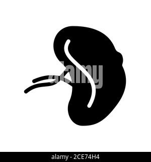 Milz Symbol flache schwarze Linie Symbol, Vektor-Illustration Stock Vektor