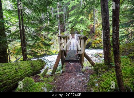 Brücke im Wald Stockfoto