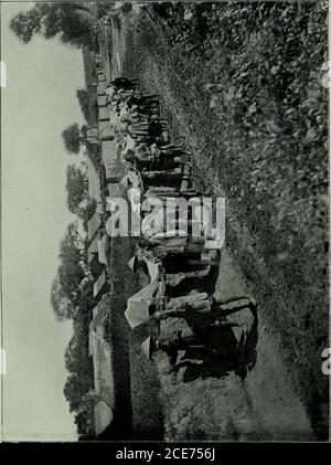 . Der Russisch-Japanische Krieg: Medizinische und hygienische Berichte von Offizieren, die an die japanischen und russischen Streitkräfte im Feld angeschlossen sind, Generalstab, Kriegsamt, April 1908 . Patienten auf Krankentragen, die auf der Militärstraße zwischen Ku-cheng-puand Ching-un-pu auf dem Weg zum Krankenhaus der Kantonierung in Pa-pao-tun angehalten wurden; oder Raststation in Tzu-lin-tzu. [Nach Seite 230. Nr. 14. Stockfoto