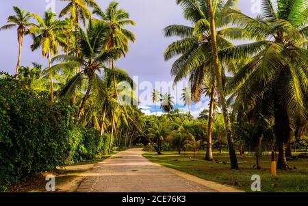 Spaziergang in einem klaren Morgen nach starkem Gewitter in La Digue Island Stockfoto