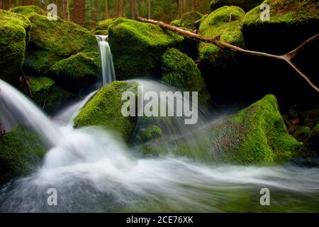 Wildbach, Bergbach mit moosigen Steinen, harten Felsen und gefallenen Baum. Stockfoto