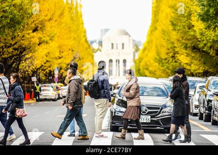 Ginkgo und die Leute des Schreins äußerer Garten Ginkgo Baumreihe Stockfoto