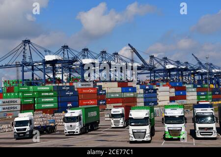 Container auf Lastkraftwagen in Felixstowe Port, Suffolk, Großbritannien Stockfoto