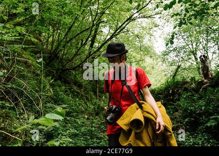 Junge stilvolle Frau im Hut mit Fotokamera Wandern, während Sie grünen moosigen Wald erkunden Stockfoto