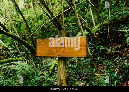 Shabby Holzschild mit der Inschrift verloren in den Wäldern und gelegt Umgeben von Bäumen Stockfoto