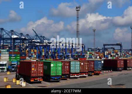 Container auf Lastkraftwagen in Felixstowe Port, Suffolk, Großbritannien Stockfoto