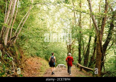 Rückansicht der jungen androgynen weiblichen und älteren Dame bewundern Landschaft von malerischen Wäldern während des Urlaubs Stockfoto