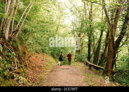 Rückansicht der jungen androgynen weiblichen und älteren Dame bewundern Landschaft von malerischen Wäldern während des Urlaubs Stockfoto