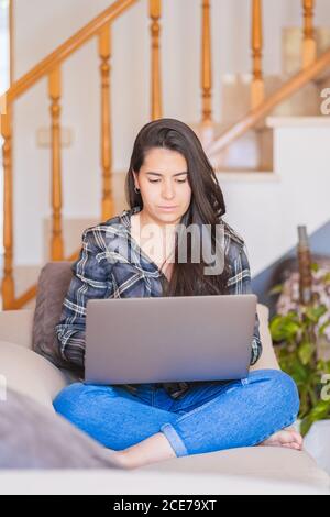 Fokussierte junge Freiberuflerin in legerer Kleidung auf dem Sofa sitzen Und arbeiten an Projekt mit Laptop in gemütlichen Wohnzimmer Zu Hause Stockfoto