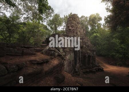 Niedriger Winkel der wunderbaren Landschaft des alten buddhistischen Tempels bedeckt Mit riesigen Baumwurzeln und im Dschungel in Kambodscha gelegen Stockfoto