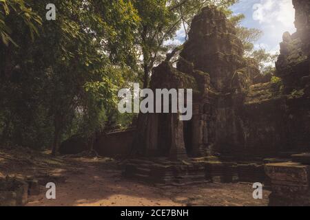 Niedriger Winkel der wunderbaren Landschaft des alten buddhistischen Tempels bedeckt Mit riesigen Baumwurzeln und im Dschungel in Kambodscha gelegen Stockfoto