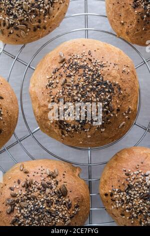 Draufsicht auf appetitlich ähnliche runde Brötchen mit brauner Oberfläche Und weiche Struktur mit knusprigen Sesamsamen auf Metall bedeckt Kühlregal Stockfoto