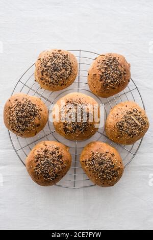 Draufsicht auf appetitlich ähnliche runde Brötchen mit brauner Oberfläche Und weiche Struktur mit knusprigen Sesamsamen auf Metall bedeckt Kühlregal Stockfoto