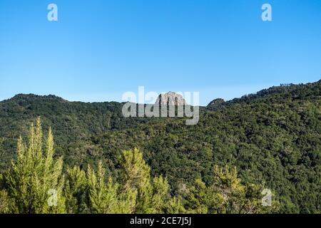 Blick über den Lorbeerwald und den Roque de Ojila - Insel La Gomera Stockfoto
