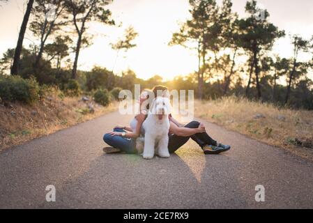 Seitenansicht einer ruhigen Freundin und eines Freundes, der sich zurücklehnen kann Zurück auf der Straße mit Old English Sheepdog und genießen erstaunlich Sonnenuntergang im Sommer Stockfoto