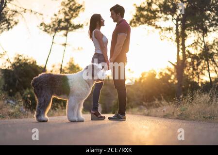 Seitenansicht einer ruhigen Freundin und eines Freundes, die auf der Straße stehen Mit Old English Sheepdog und genießen erstaunliche Sonnenuntergang im Sommer Stockfoto