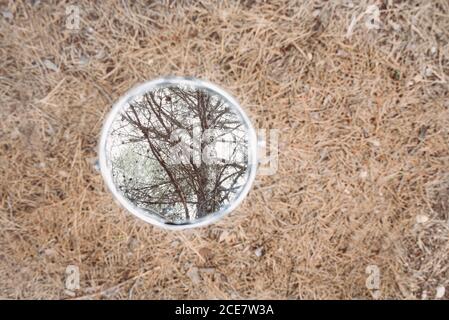 Draufsicht auf runden Spiegel in Kunststoff glänzend Rahmen auf Trockene Oberfläche mit verblichenem Gras reflektierenden Baum mit dicken Stamm Und heiterer Himmel im Herbst Stockfoto