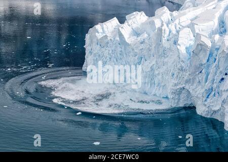 Gletscherkalben im Meer, Neko Harbour, Graham Land, Antarktische Halbinsel, Westantarktis Stockfoto