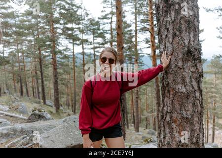 Junge Wanderin in Sonnenbrille, die auf Baumstamm gelehnt steht Und Blick auf die Kamera während Trekking im Wald in Navacerrada In Spanien Stockfoto