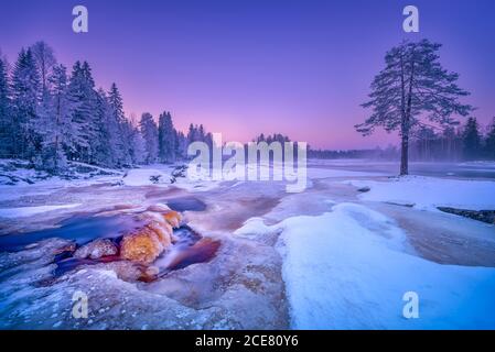 Erstaunliche Landschaft von verschneiten Gelände mit gefrorenen Bäumen während bunt Sonnenuntergang im Winter Stockfoto