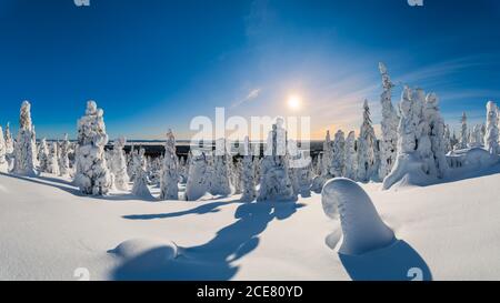 Malerische Landschaft des Winterwaldes mit flauschigen weichen Schnee bedeckt Unter hellblauem Himmel an sonnigen Tagen Stockfoto