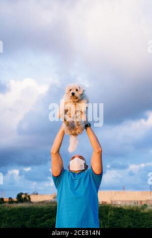 Gesichtslose männlich in casual blau Hemd spielen mit liebenswert lustig Bichon Frise und Hebe Hund über Kopf während des Sommers Tag auf dem Land während der Coronavirus-Pandemie Stockfoto