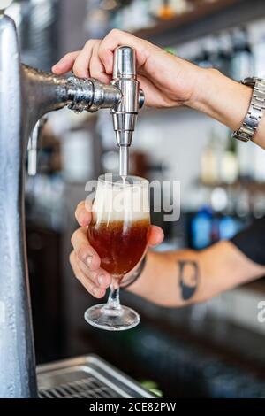 Beschnittene unerkennbare Person, die Bier aus der Biersäule in das Glas gießt Während der Arbeit als Barkeeper in der modernen Bar Stockfoto