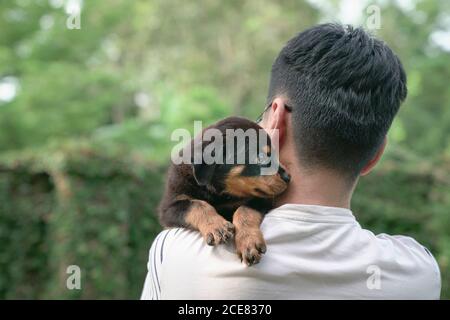 Netter Welpenhund, der seinen Kopf auf der Schulter des erwachsenen Mannes ruht. Speicherplatz kopieren. Stockfoto