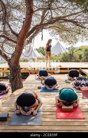 Gruppe von anonymen barfüßigen Menschen, die Kinderpose auf Holz üben Plattform im Garten während des Yoga-Kurses mit weiblicher Lehrerin Stockfoto