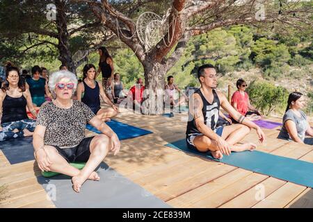 Von oben Gruppe von verschiedenen Menschen meditieren in Lotus Pose Während der Yoga-Praxis in tropischen Resort an sonnigen Tag Stockfoto