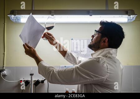 Seitenansicht ernsthafte männliche Weinbauern in weißem Gewand untersuchen Rotwein Qualität durch Verwendung von leerem Blatt Papier gegen Helles Licht Stockfoto