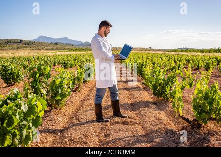 Seitenansicht in voller Länge männlichen Winzer in weißem Gewand und Gummistiefel mit Laptop beim Arbeiten mit Blick auf Traubenbusch Zweig Auf dem Weinberg an sonnigen Tagen Stockfoto