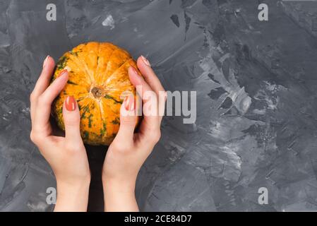 Frau hält einen Kürbis. Weibliche Hände mit trendigen Herbst Marmor Maniküre Stockfoto