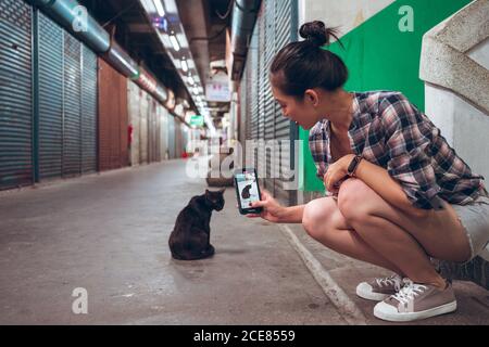 Seitenansicht der jungen asiatischen Frau in lässiger Kleidung nehmen Bild einer streunenden schwarzen Katze auf dem Smartphone im leeren Untergrund Durchgang mit geschlossenen Fensterläden Stockfoto