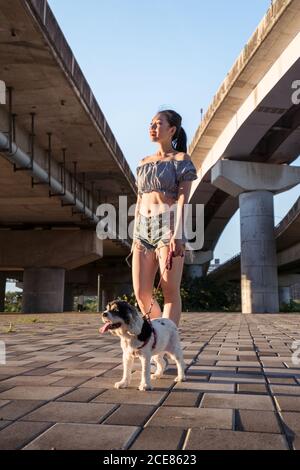 Fit positive asiatische Frau in legere Kleidung stehen auf dem Bürgersteig mit kleinen gehorsamen reinrassigen Hund und Blick weg in der Nähe der Brücke an sonnigen Tag im Sommer Stockfoto