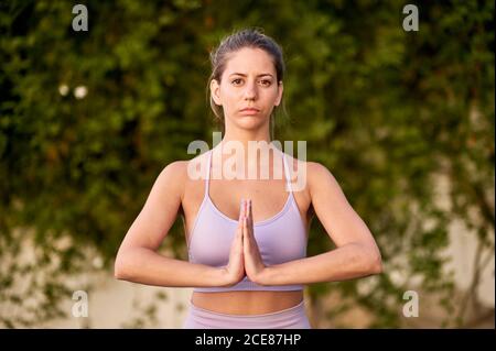Ruhige Hündin in Sport Leggings und BH mit Namaste Hände Geste beim Yoga und beim Blick auf die Kamera Stockfoto