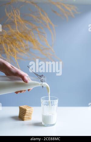 Von oben der Ernte anonyme Person mit transparenten Flasche Gießen Frische Milch in Glas nahe Stapel von knusprigen Cracker auf Weißer Tisch mit dekorativem Ast auf blauem Hintergrund Stockfoto