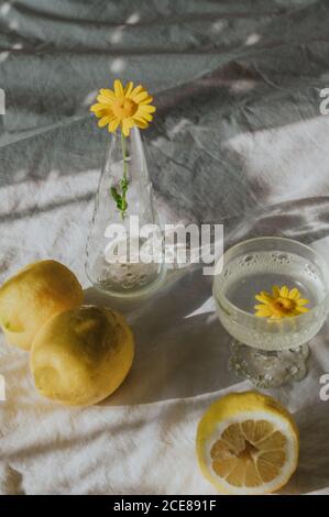 Zarte gelbe Kamille in Glasvase auf Tisch mit platziert Weißes Tuch in der Nähe erfrischende Getränk und mit natürlichen Zitronen zusammengesetzt Stockfoto