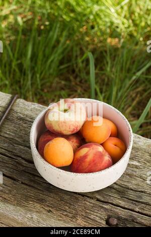 Von oben von reifen Pfirsichen und Aprikosen in Keramikschale Platziert auf Holztisch im Garten Stockfoto