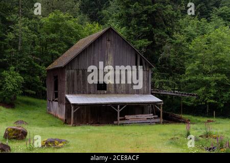 Schöne Aufnahme eines alten Holzhauses in einem schönen Wald Stockfoto
