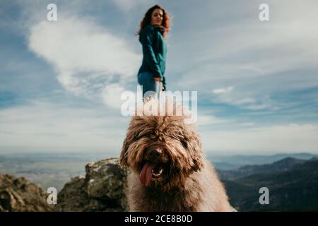 Süßes pelziges Labradodle mit hervorstehender Zunge, das in der Nähe der Frau in den Bergen von Puerto de la Morcuera am bewölkten Tag in Spanien steht Stockfoto